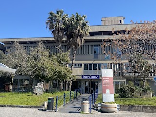 Policlinico Catania Pad. 2 (NEUROLOGIA PSICHIATRIA)