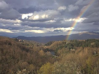 B&B Poggio delle Rondini