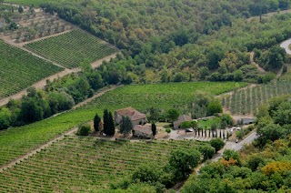 Az. Agr. Podere Val delle Corti