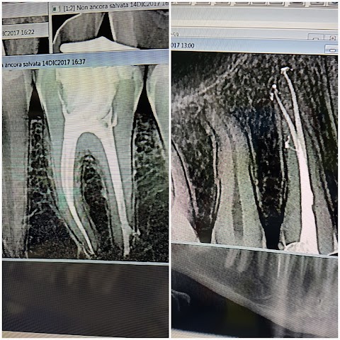 Catapano Dr. Tommaso