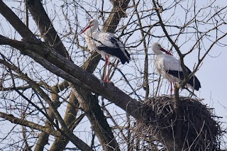 Parco Cascina Venara