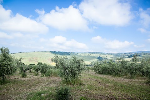 Agriturismo Casale Sasso