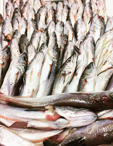 Pescheria Sapore di Mare di Vasile Cozzo Salvatore