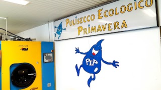 Pulisecco Ecologico Primavera