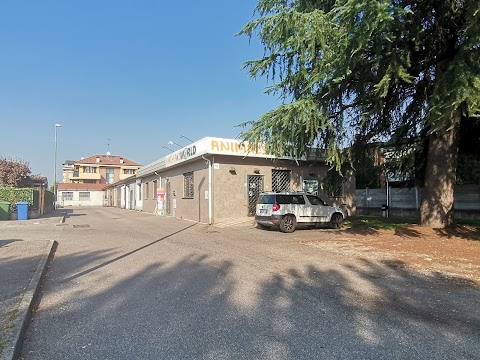 Clinica Veterinaria Senago (Le Groane)