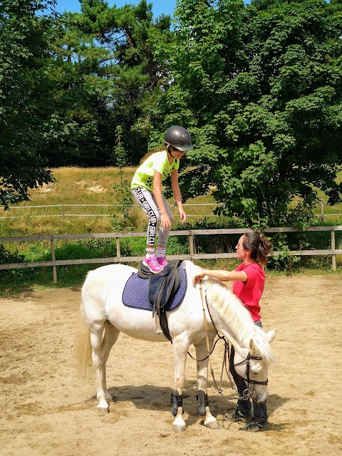 horse & pony club pratorondanino