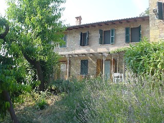 Casa dell'Abbondanza