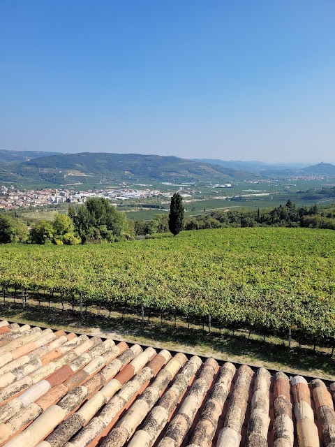 Tenuta Le Cave