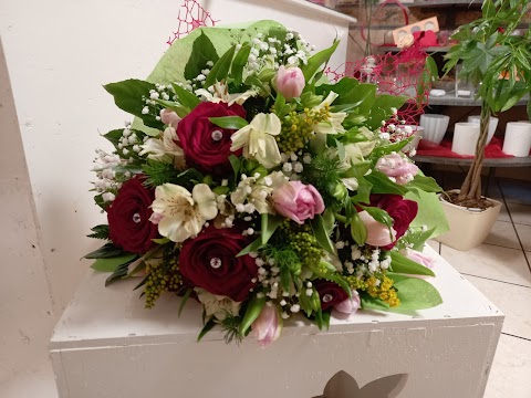 Massimino flowers designer