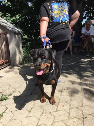 Allevamento Rottweiler "Motta Granda"