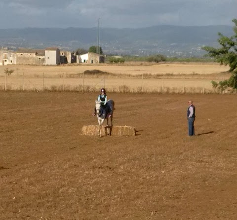 A.S.D. Circolo Ippico La Quercia