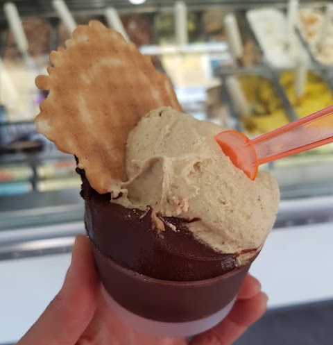 Gelateria Lapecoranera