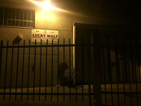 Lucky Wolf Srl