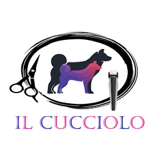 Il Cucciolo Toelettatura