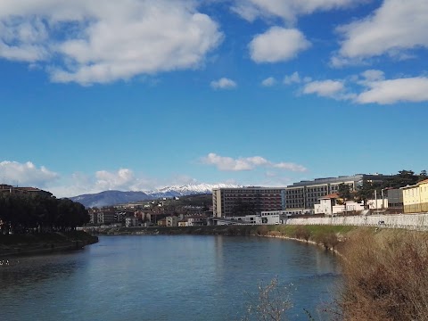 Ospedale Borgo Trento, Pronto Soccorso e Trauma Center