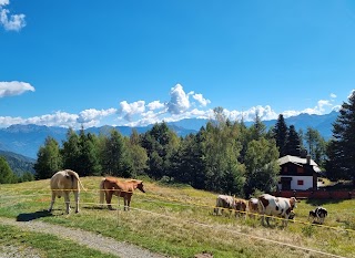 Alpe Teglio