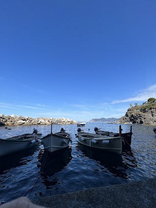 Enjoy Cinqueterre Boat Tours