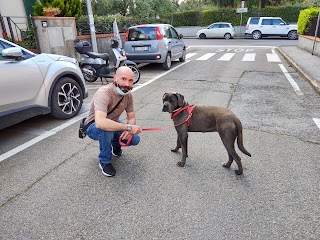 Baldi Stefano Ambulatorio Veterinario