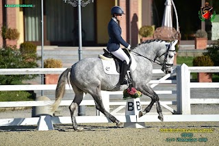 SCUOLA ITALIANA DI EQUITAZIONE CLASSICA ASD