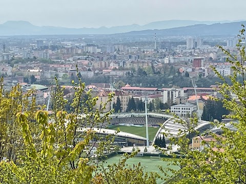 Stadion Ljudski vrt