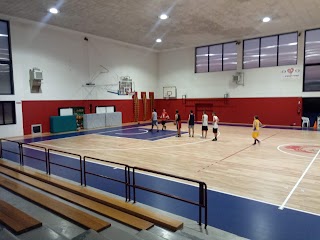 Palestra Ping Pong Fortitudo Busnago