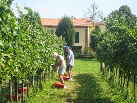 Agriturismo l'Albara - Alloggio con piscina