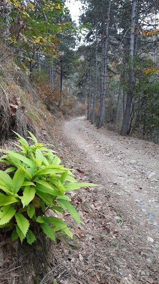 Parco Naturale del Monte San Giorgio