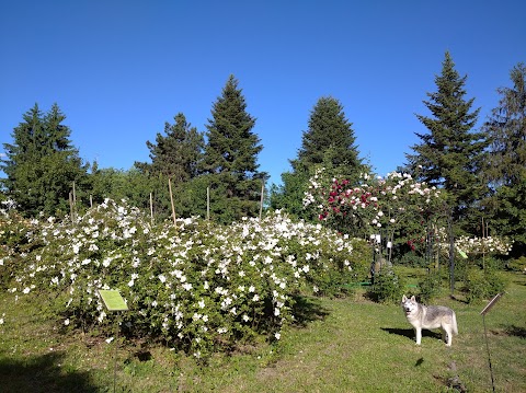 IISTAS Lazzaro Spallanzani