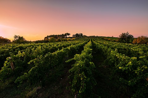 Società Agricola Tenuta Le Quinte S.R.L.