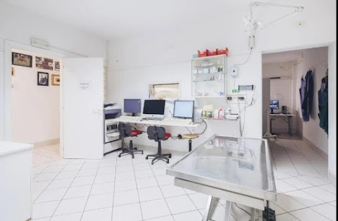 Clinica Airone - Veterinari Associati Piccinini e Ardizzoni