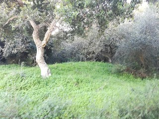 Torretta Bosco di Angimbè