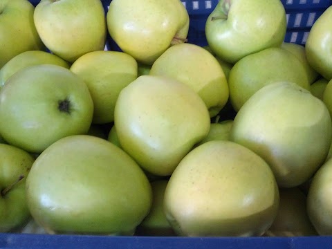 Cremona Frutta Di Bonfatti Sabbioni Luigi & C. (S.N.C.)