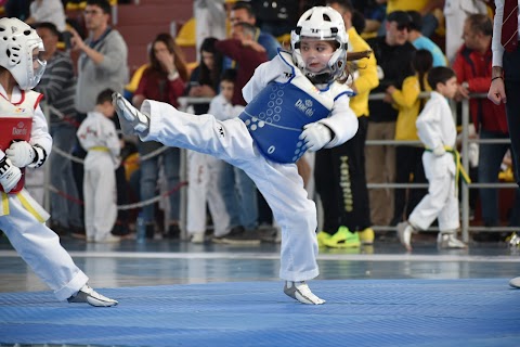 Taekwondo Gold Team Brindisi