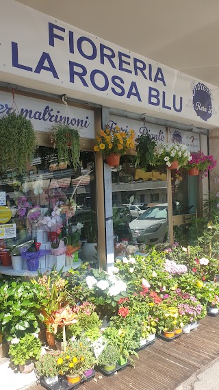 Fioreria La Rosa Blu Di Alexandra Apetre