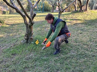 Talpe in giardino