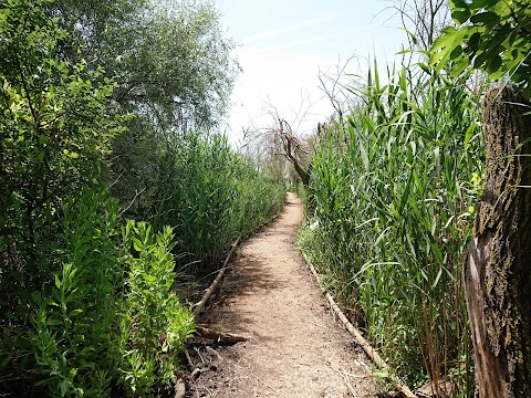 Oasi WWF Lago di Burano