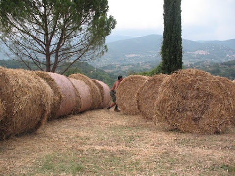 Azienda Agricola Biologica Francesco Testa