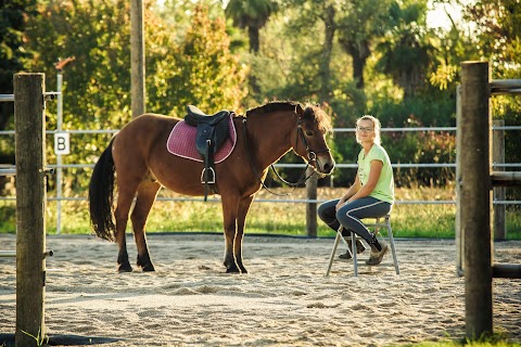 CENTRO EQUESTRE IL MORARO A.S.D.