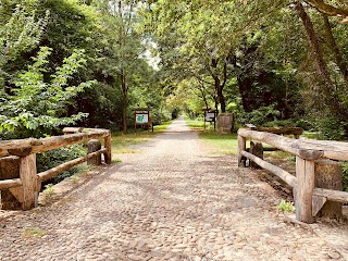 Riserva Naturale Statale "Bosco Fontana"