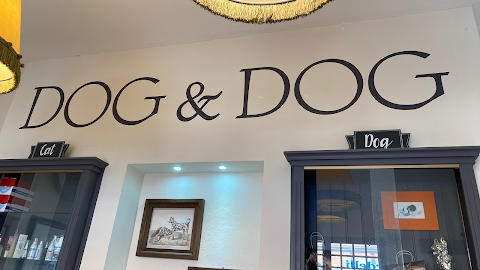 Dog & Dog Pontedera