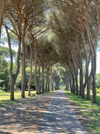 Parco Regionale Migliarino, San Rossore, Massaciuccoli