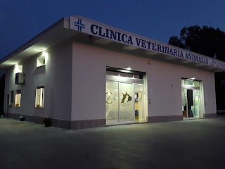 Clinica Veterinaria Animalia