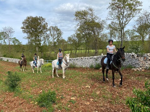 Maneggio "A.s.d. Equestrian Academy" - Monopoli - Scuola di Equitazione