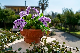 Casa di Riposo per Anziani - Villa Vittoria