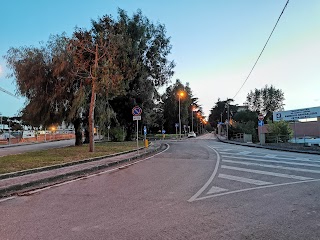 Ospedale Veterinario Frullone