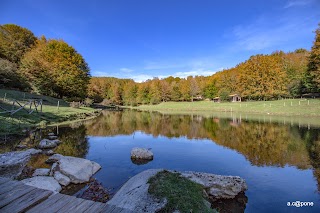 Piano Acqua della Madonna