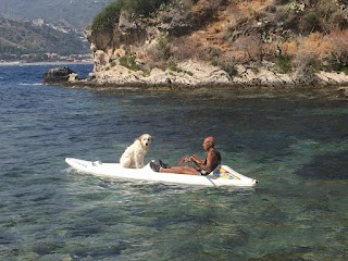 SUP and Wind Surfing School