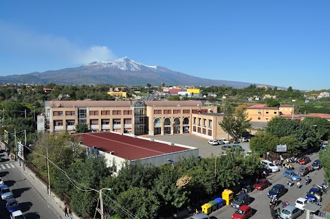 Liceo Classico Statale Gulli E Pennisi