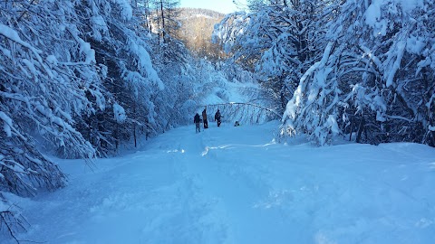 Sensations Mélèzes Parcours Aventure en forêt