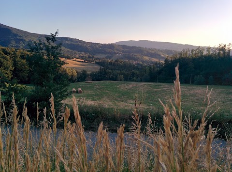 PISCINA di Monghidoro